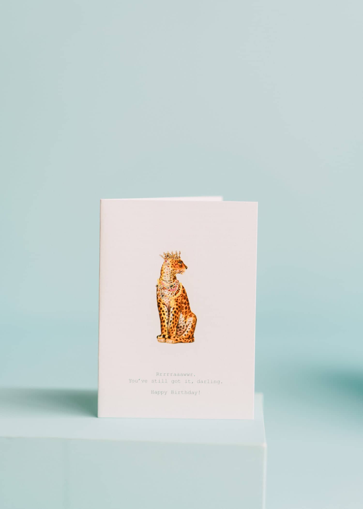 TokyoMilk Card Raccoons Your Day Greeting Card main image 1