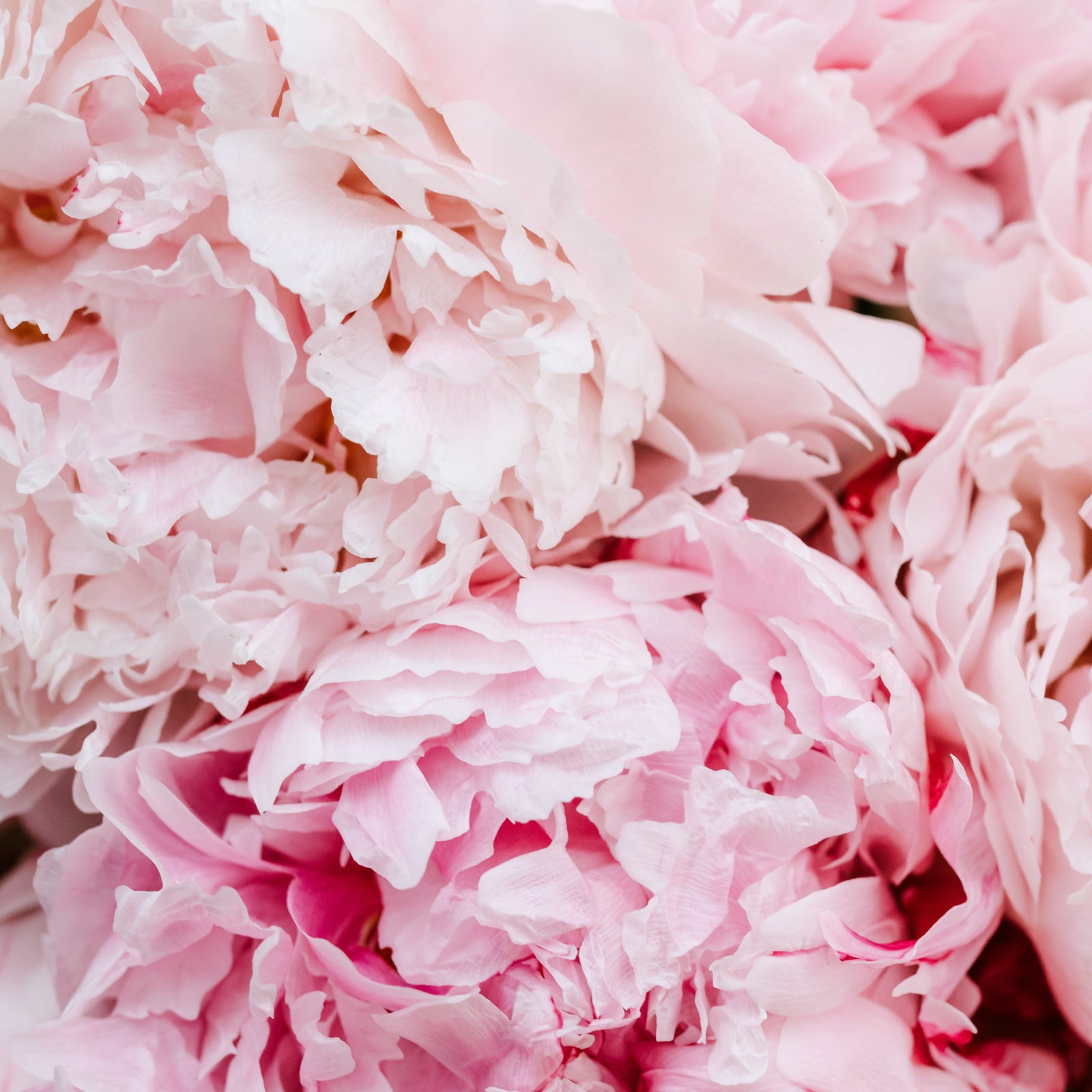 lollia peony & white lily Lollia Breathe Perfumed Luxury Bubble Bath