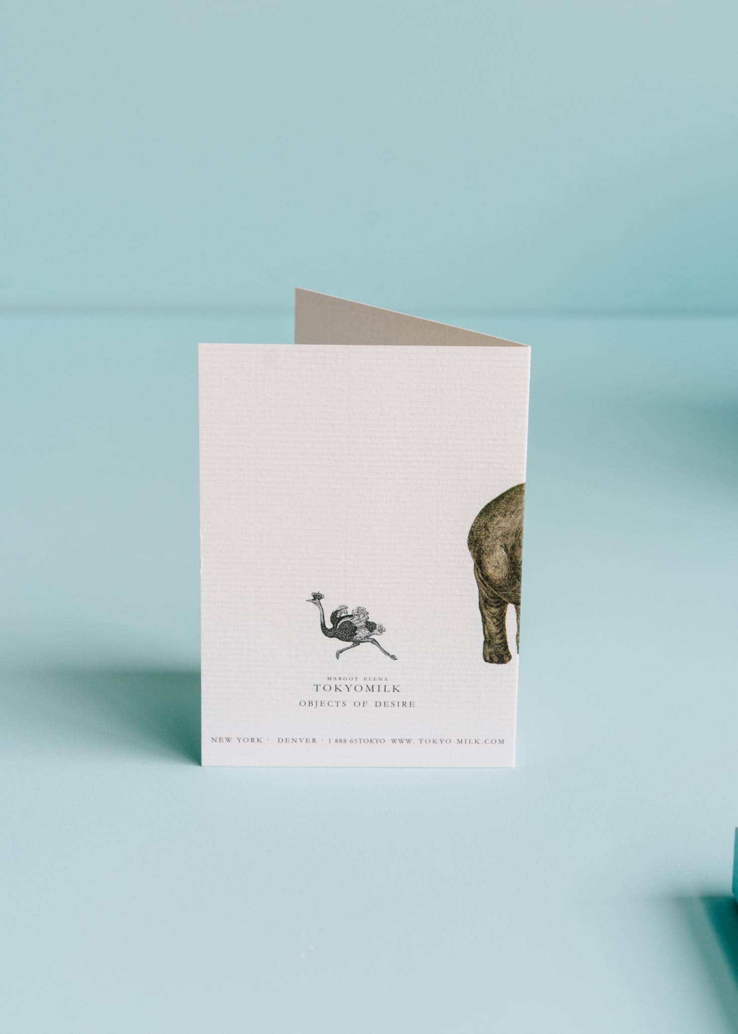 TokyoMilk Card Raccoons Your Day Greeting Card main image 0